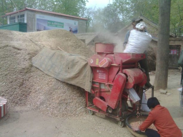 榨油機(jī)用戶訪問：鄉(xiāng)鎮(zhèn)之間榨油坊生意如何？